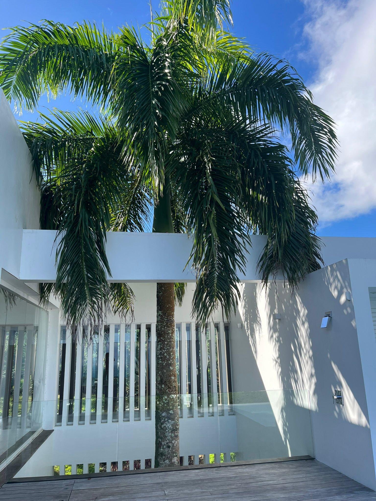 Villa en Las Terrenas - 180° panorama caribeño y puro lujo