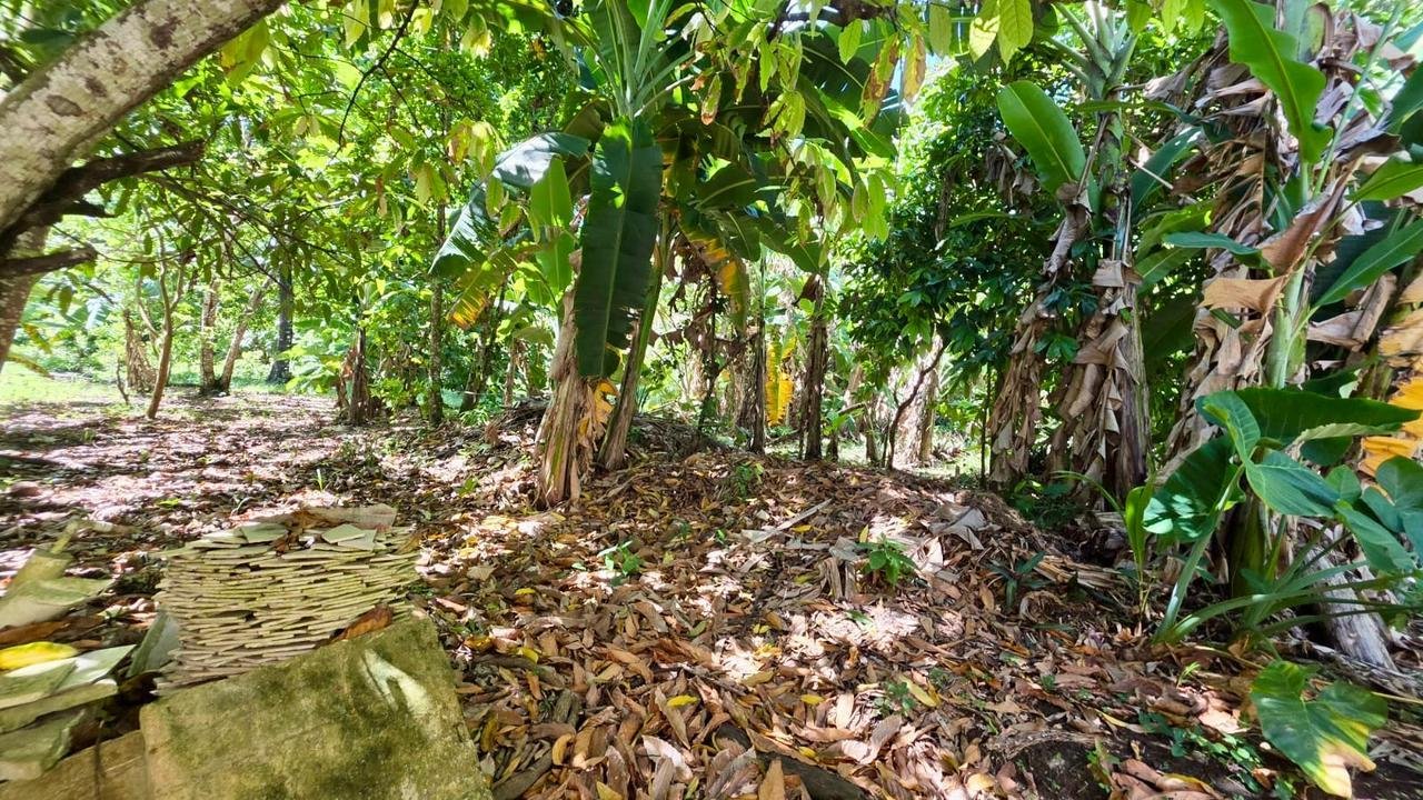 Tu oasis privado e inversión inteligente