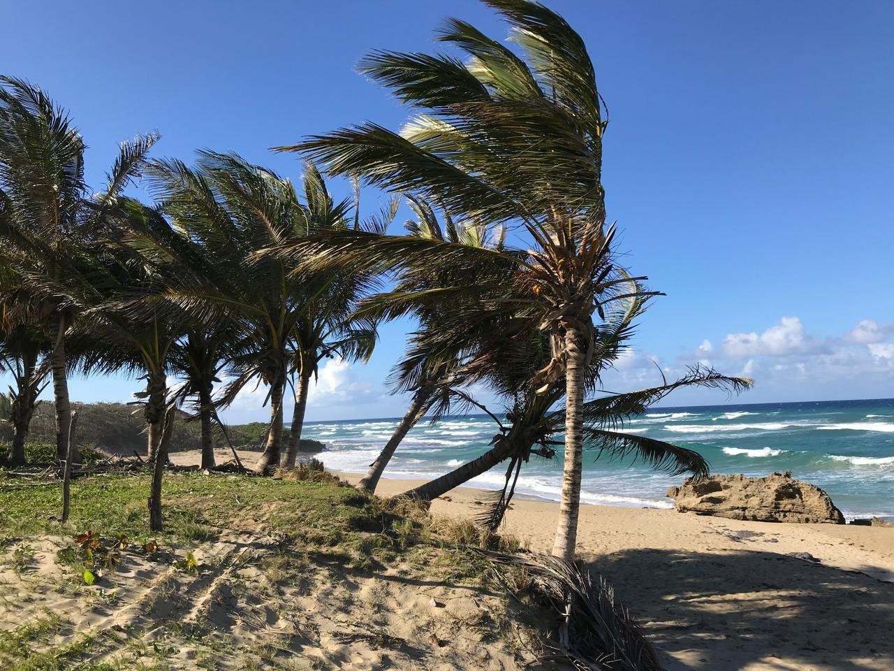 Oportunidad única- primera linea en cabarete contáctanos y construye recuerdos de ensueño